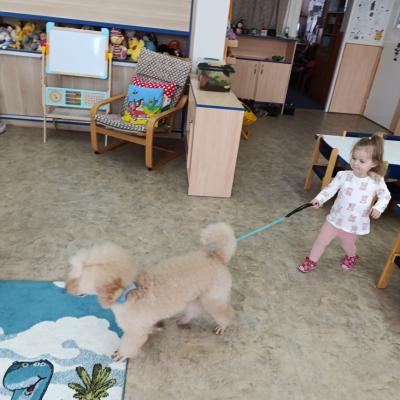 Img 20260219 0923431